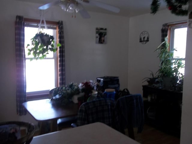 dining area featuring ceiling fan