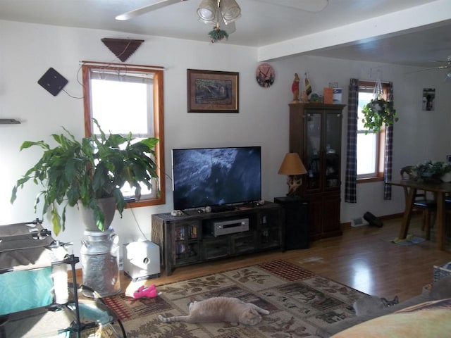 living room with ceiling fan, plenty of natural light, and wood finished floors