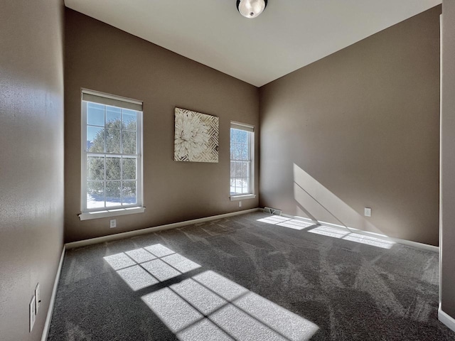 empty room with carpet, baseboards, and a wealth of natural light