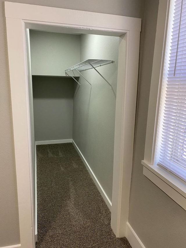 spacious closet featuring carpet floors