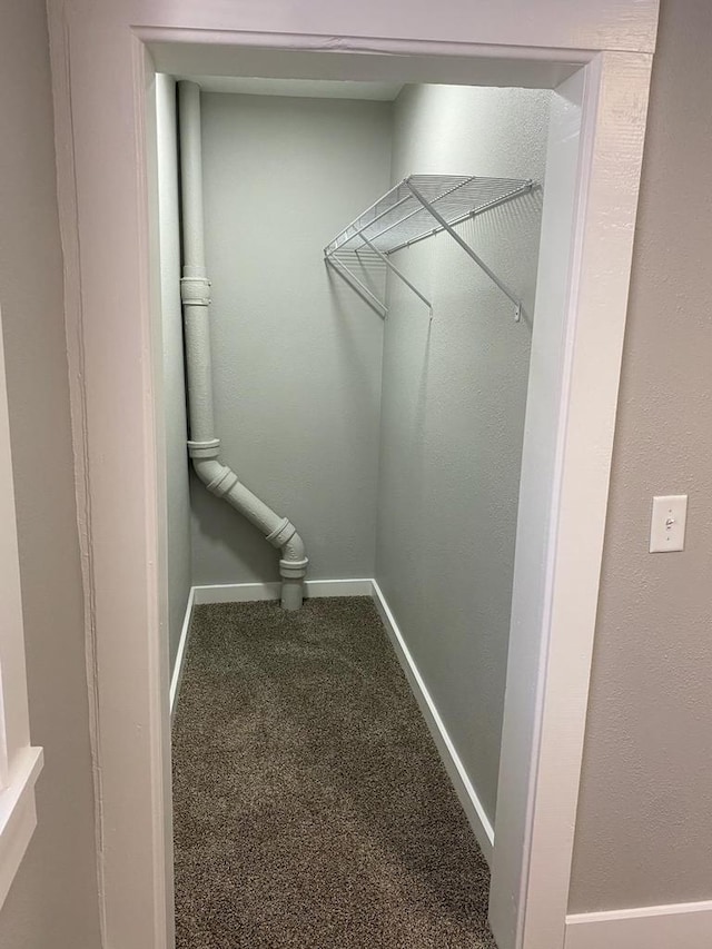 walk in closet featuring carpet