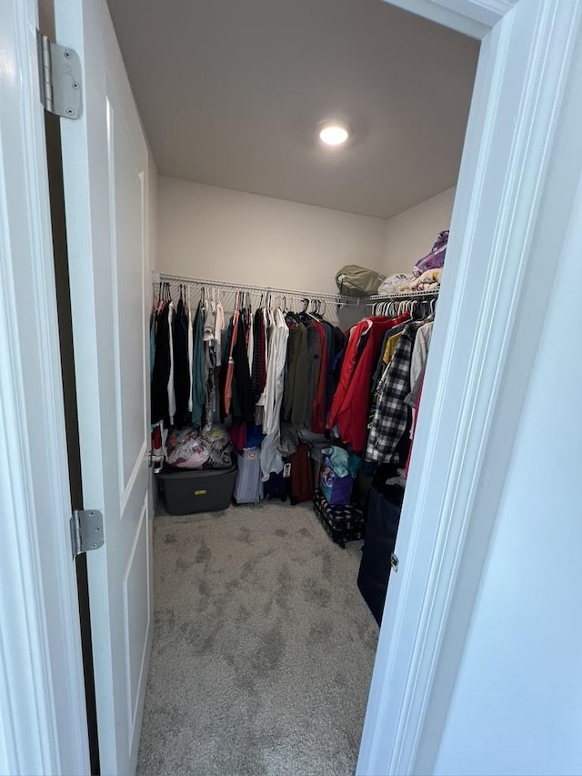 walk in closet with carpet floors