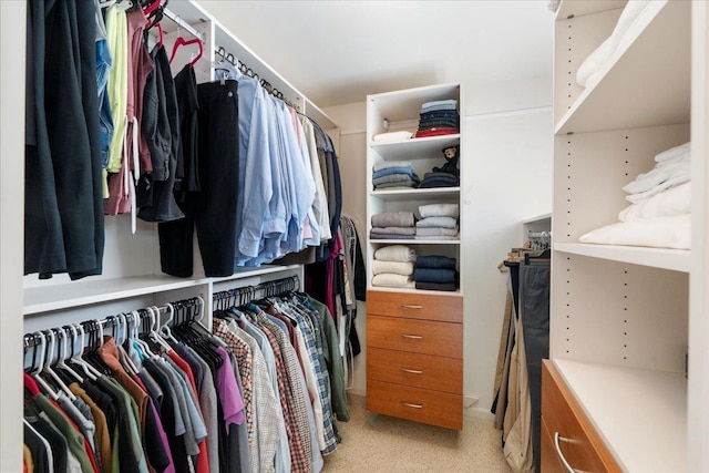 view of spacious closet