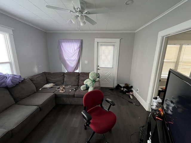 living room with dark wood-type flooring, ornamental molding, and ceiling fan