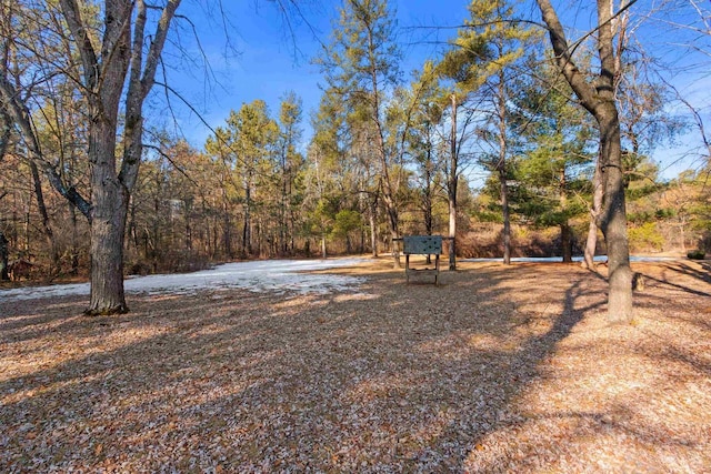 view of yard featuring a wooded view