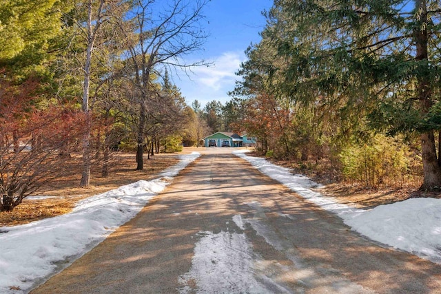 view of road with aphalt driveway