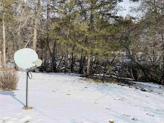 view of yard layered in snow