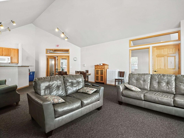 living area with lofted ceiling, rail lighting, and carpet