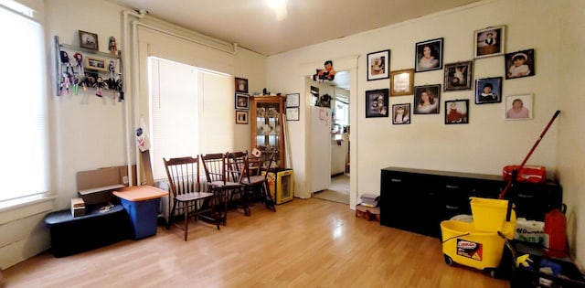 living area with a healthy amount of sunlight and wood finished floors