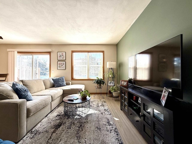 living room featuring a textured ceiling and light wood finished floors