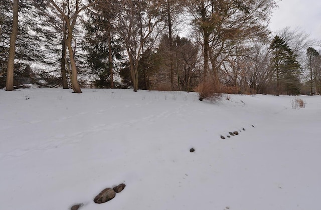 view of yard covered in snow