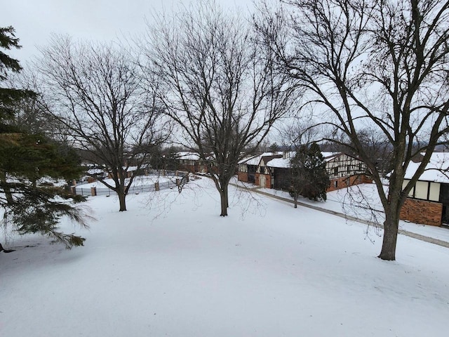 view of yard covered in snow