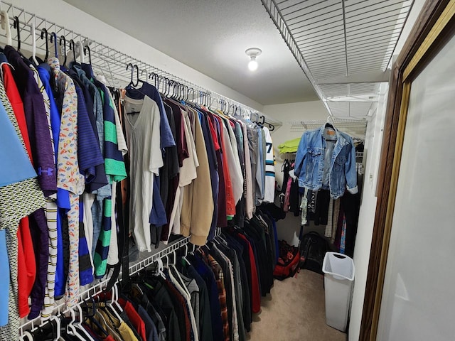 walk in closet featuring carpet flooring