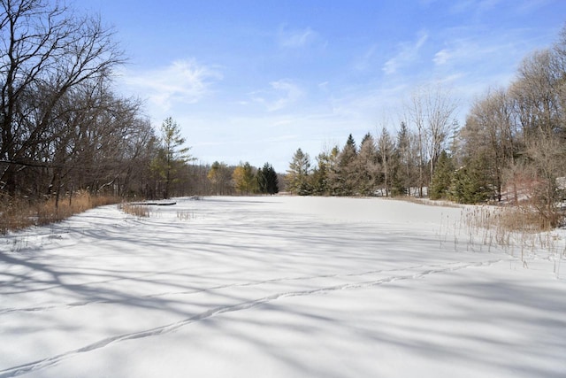 view of yard layered in snow