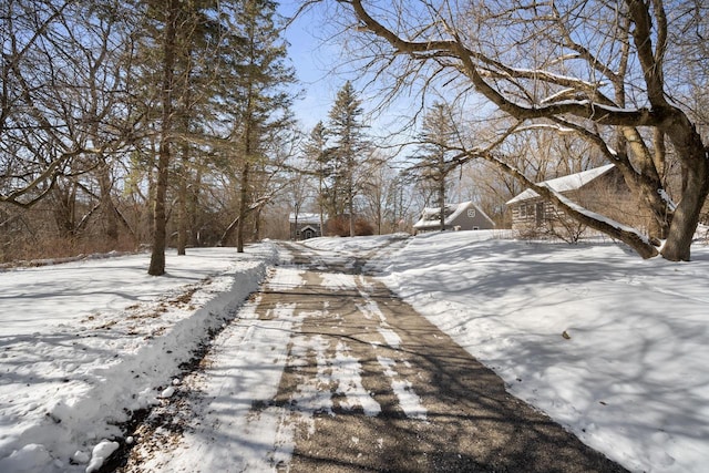 view of street featuring driveway