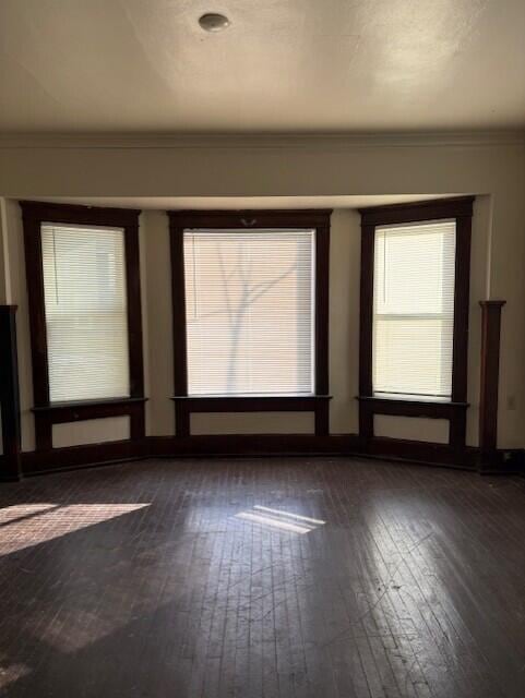 empty room featuring crown molding and hardwood / wood-style flooring