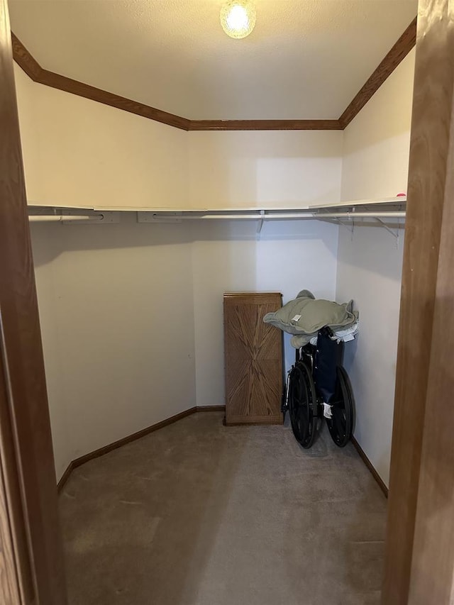 walk in closet featuring carpet floors