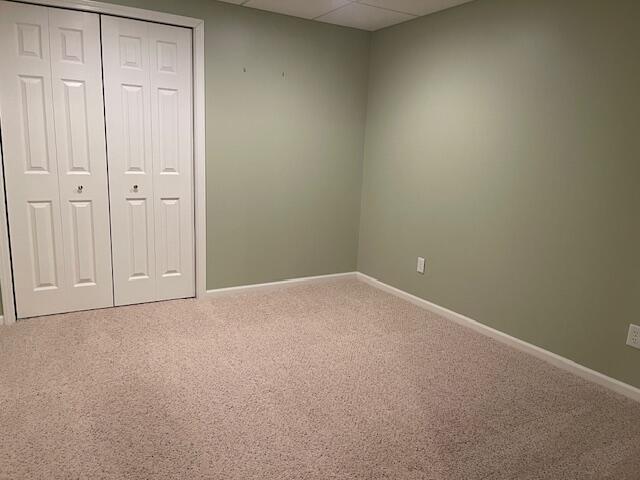 unfurnished bedroom with a drop ceiling, a closet, carpet, and baseboards