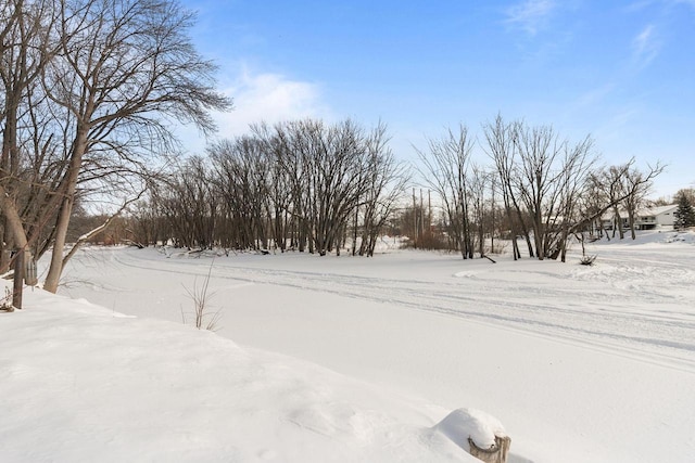 view of yard covered in snow