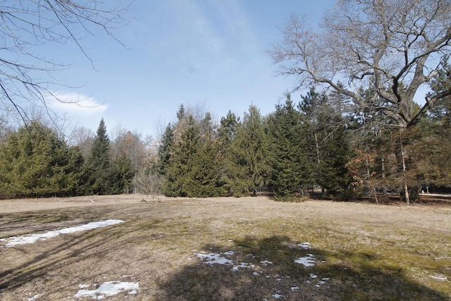 view of yard featuring a wooded view