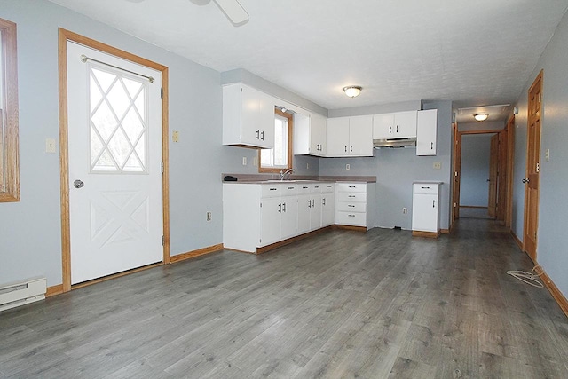 kitchen with a baseboard radiator, under cabinet range hood, dark wood-style flooring, a sink, and white cabinets