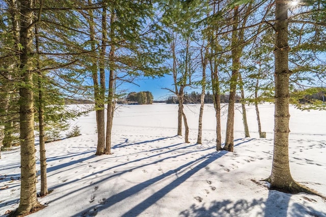 view of yard layered in snow