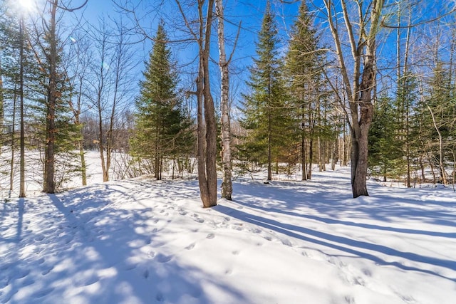 view of yard covered in snow