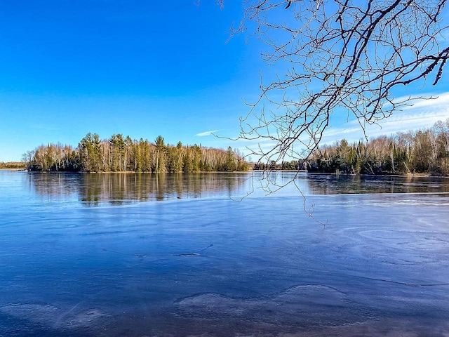 property view of water featuring a view of trees