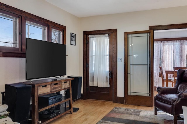 foyer with light wood finished floors and a wealth of natural light