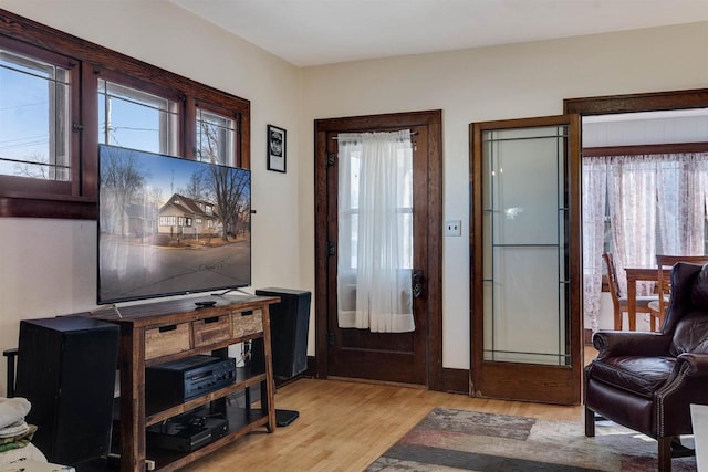 foyer with a wealth of natural light and light wood-style flooring