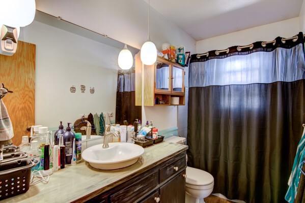 full bathroom featuring vanity, toilet, and a shower with curtain