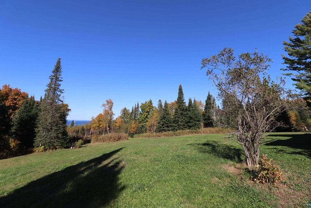 85780 Smith Dr, Port Wing, WI 54865 - view of yard