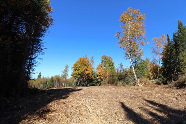 85780 Smith Dr, Port Wing, WI 54865 - view of nature