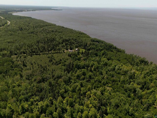 85780 Smith Dr, Port Wing, WI 54865 - aerial view with a water view and a view of trees