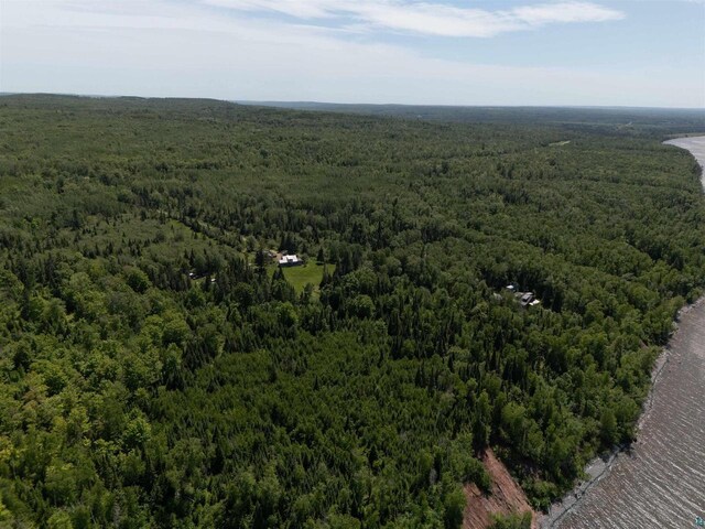 85780 Smith Dr, Port Wing, WI 54865 - aerial view with a wooded view