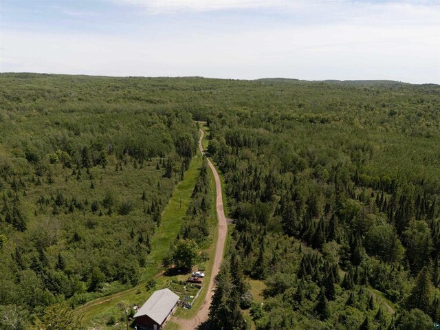 85780 Smith Dr, Port Wing, WI 54865 - birds eye view of property with a forest view