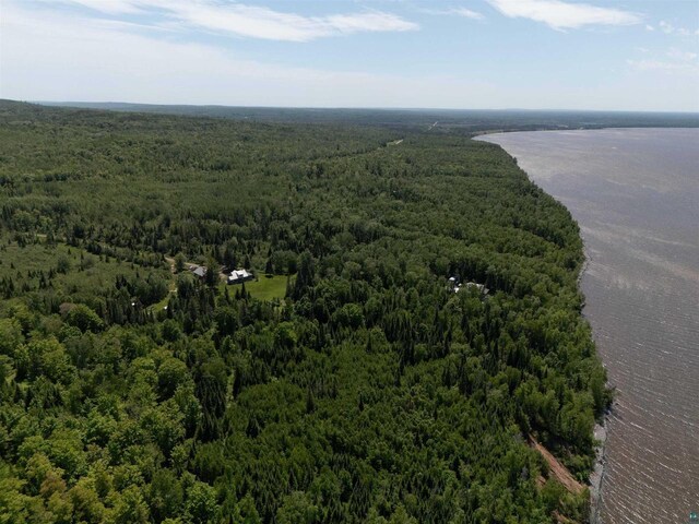 85780 Smith Dr, Port Wing, WI 54865 - birds eye view of property with a water view and a wooded view