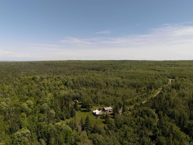 85780 Smith Dr, Port Wing, WI 54865 - drone / aerial view with a forest view
