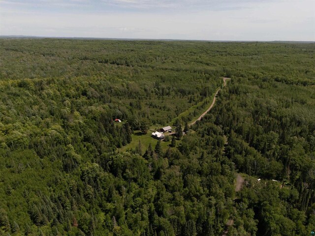 85780 Smith Dr, Port Wing, WI 54865 - aerial view featuring a view of trees