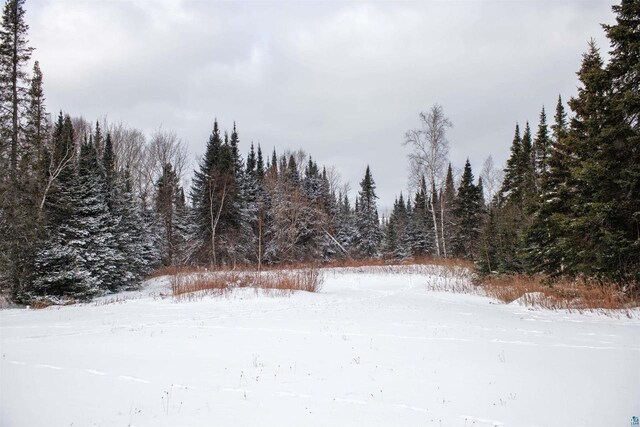 85780 Smith Dr, Port Wing, WI 54865 - yard covered in snow featuring a forest view