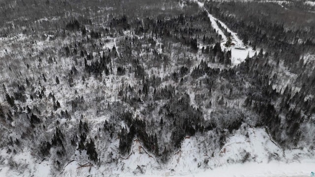 85780 Smith Dr, Port Wing, WI 54865 - view of snowy aerial view