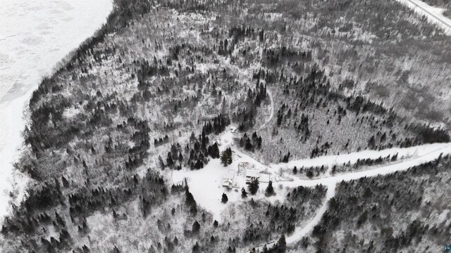 85780 Smith Dr, Port Wing, WI 54865 - view of snowy aerial view