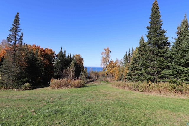 85780 Smith Dr, Port Wing, WI 54865 - view of yard