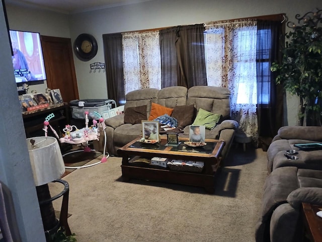 living room featuring carpet floors and crown molding