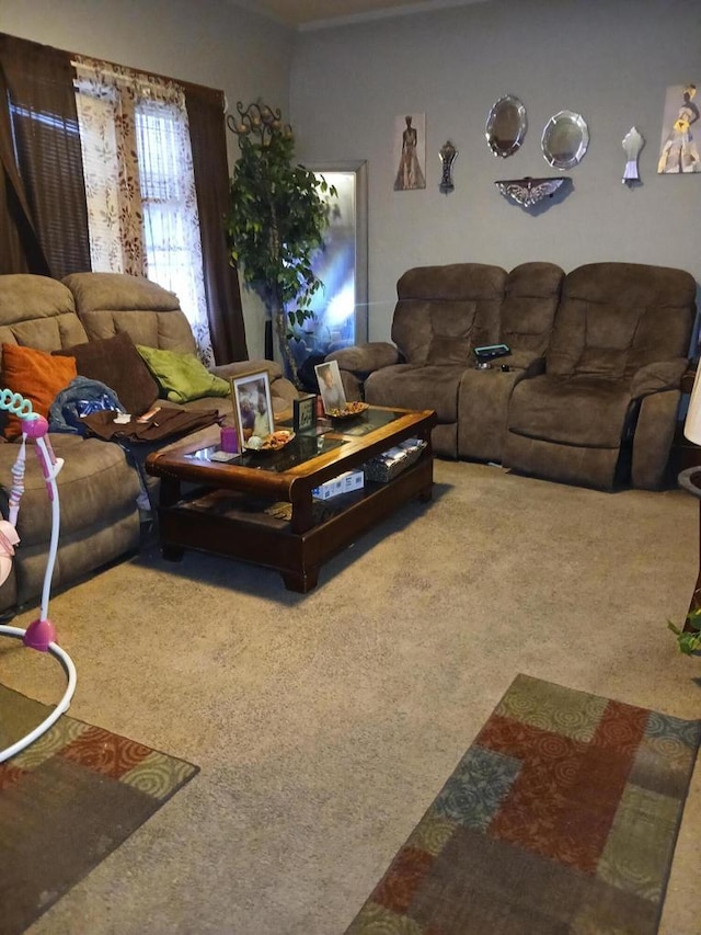 living area featuring carpet flooring