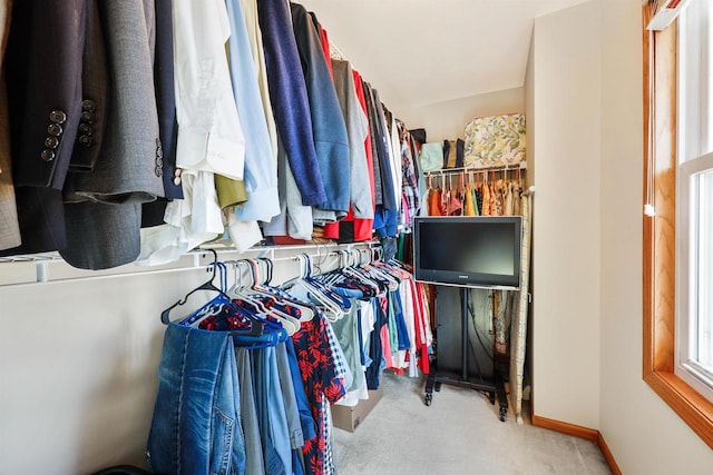 walk in closet featuring carpet