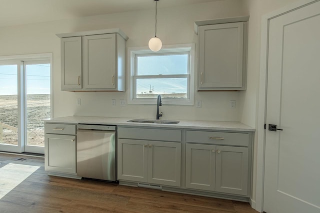 kitchen featuring a wealth of natural light, dark wood-style flooring, a sink, and stainless steel dishwasher