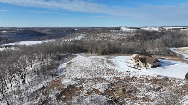 view of snowy aerial view