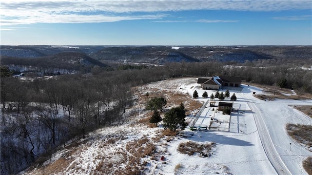 view of snowy aerial view