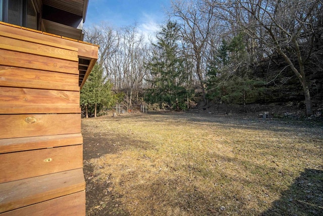 view of yard